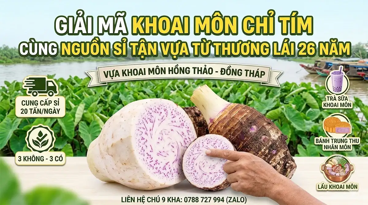 Củ khoai môn chỉ tím dẻo bùi cắt lớp tại vựa sỉ nông sản sạch Đồng Tháp.