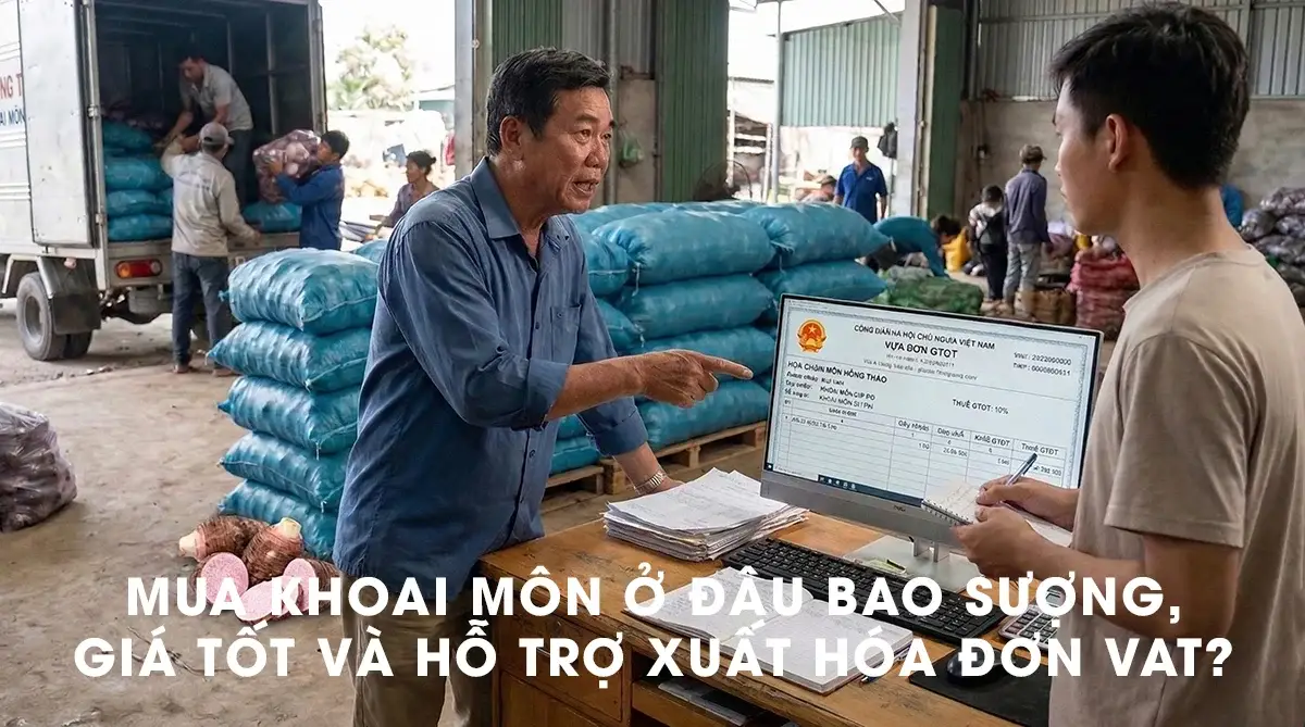 Vựa Hồng Thảo tư vấn xuất hóa đơn VAT cho khách mua sỉ khoai môn chỉ tím.