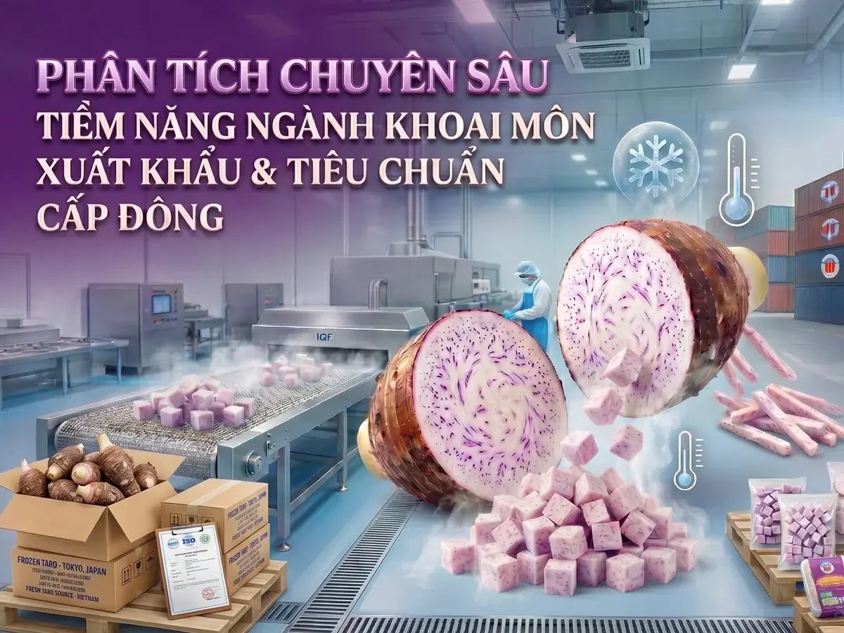 Ảnh đại diện bài phân tích tiềm năng ngành khoai môn xuất khẩu và công nghệ cấp đông IQF.