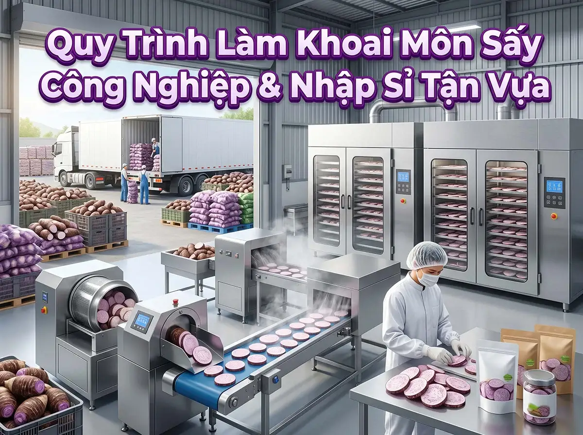 Dây chuyền công nghiệp sản xuất khoai môn sấy khô hiện đại khép kín từ máy thái lát tự động, lò sấy inox lớn đến đóng gói thành phẩm túi hũ chuẩn ATVSTP và bốc xếp hàng logistic sỉ container tại vựa.