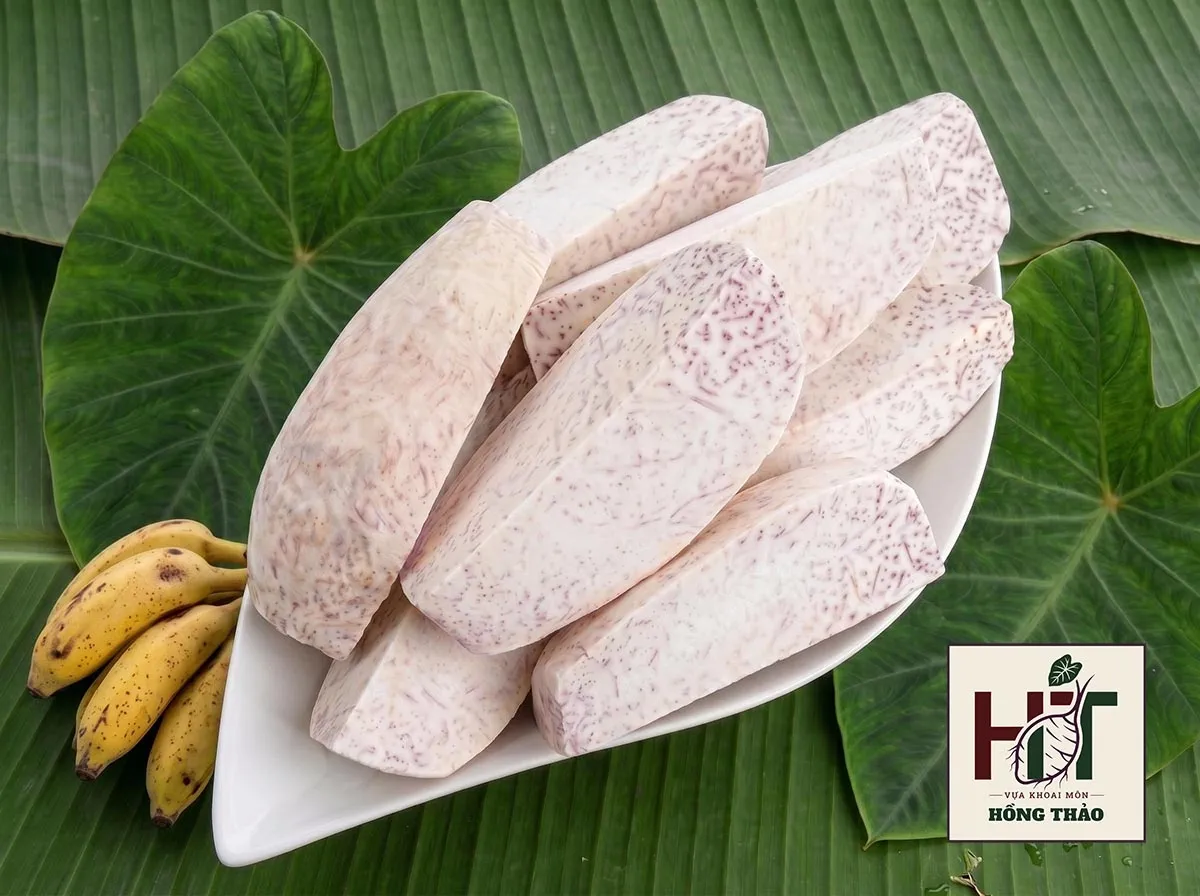 Khoai môn cao chỉ tím ruột trắng vân tím, nguyên liệu chuẩn cho dây chuyền cấp đông xuất khẩu.