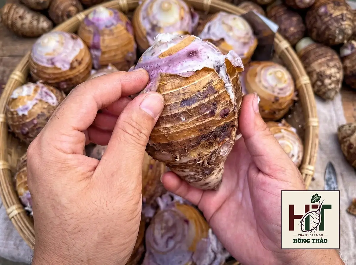 Củ khoai sọ sau khi hấp chín bộc lộ rõ đặc tính độ nhớt cao và nhiều nước.