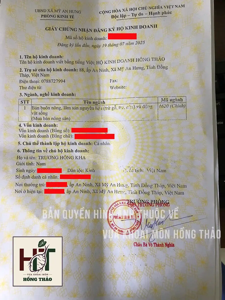 Giấy chứng nhận pháp lý của hộ kinh doanh Hồng Thảo giúp đối tác an tâm thu mua khoai môn.