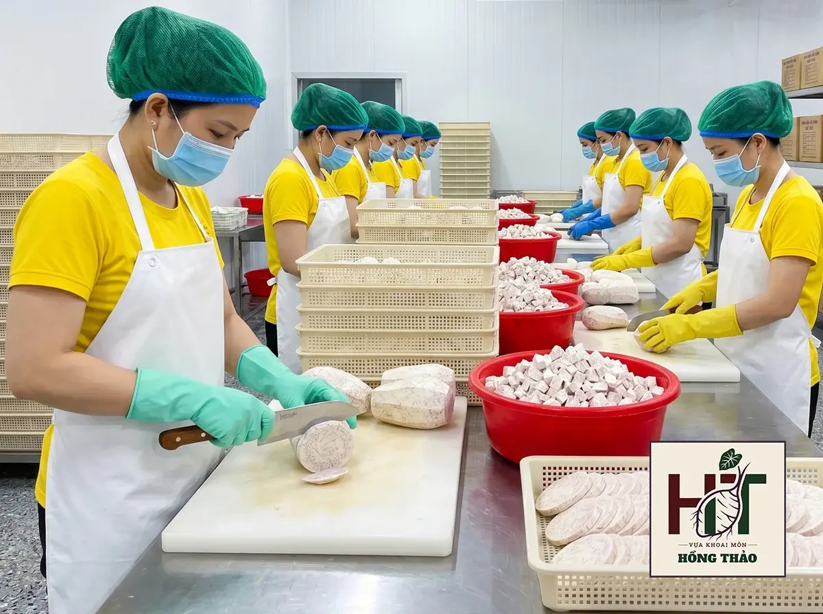 Công nhân nhà máy sơ chế và cắt thái khoai môn xuất khẩu đạt tiêu chuẩn nguyên liệu đầu vào.