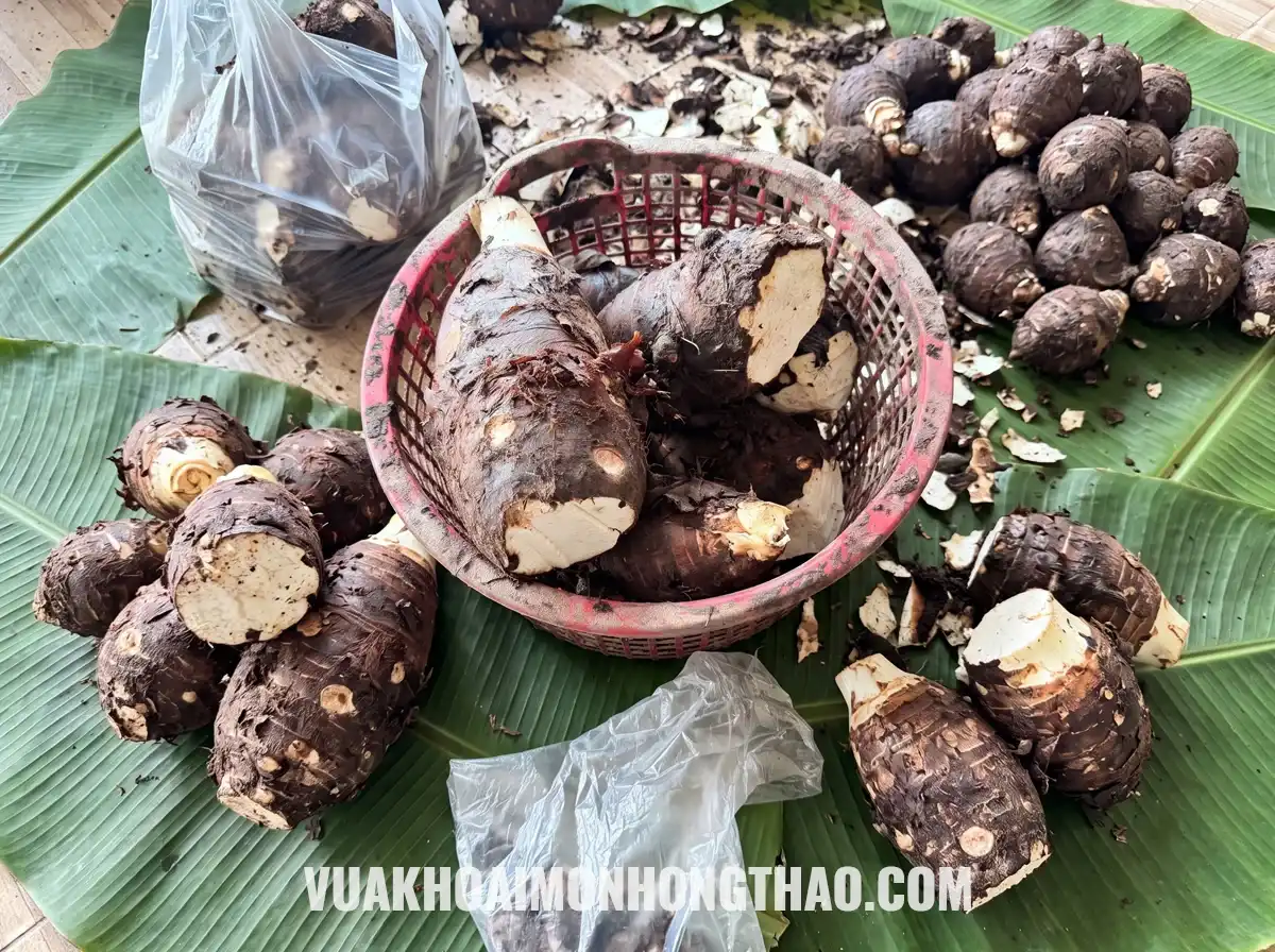 Rổ khoai môn hàng xô cắt góc lộ ruột sáp dẻo trên lá chuối làm nguyên liệu chế biến.